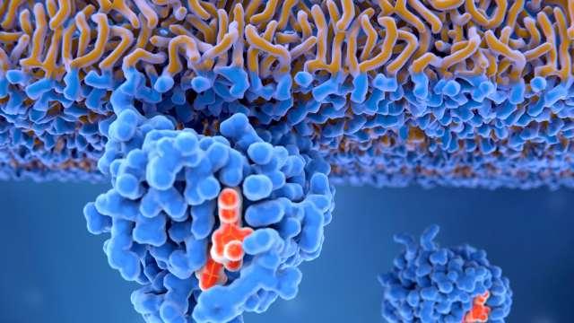 Activate RAS protein attached to cancer cell