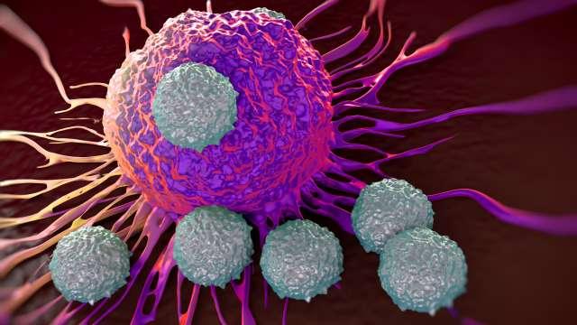 T cells attacking cancer tumor