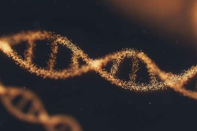 DNA